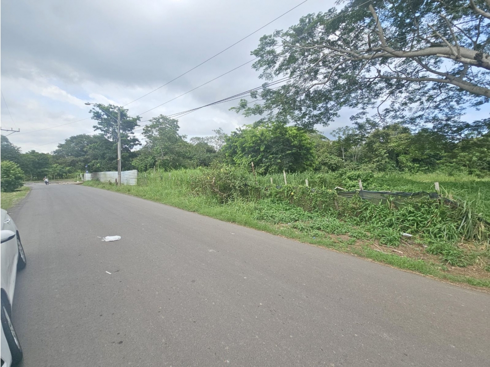 Se vende finca de 4 has. comercial o residencial en Puerto Caimito - 5
