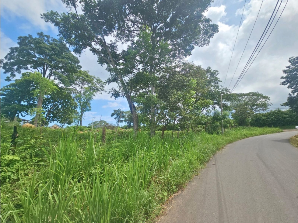 Se Vende Finca de 4.8 has comercial en La Chorrera, Puerto Caimito - 5
