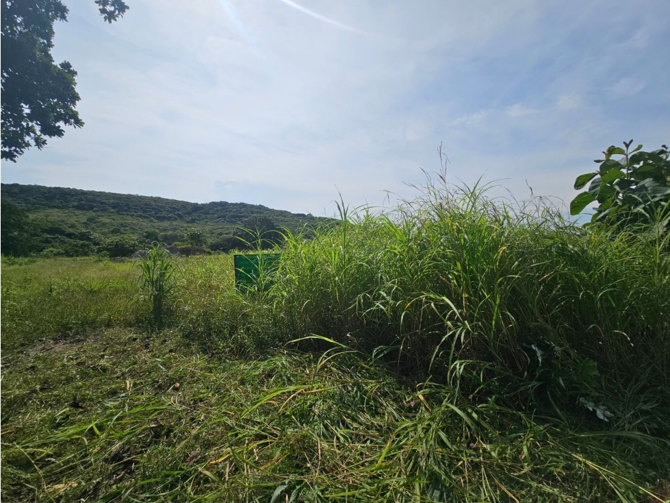 Se vende finca comercial de 5 HAS en Penonomé, Vía Ciruelito - 6