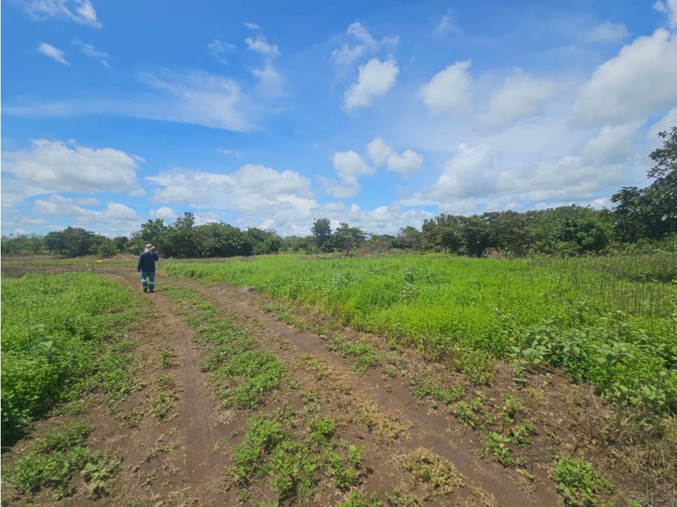 Se vende finca de 4.22 HAS en Aguadulce Interamericana - 5