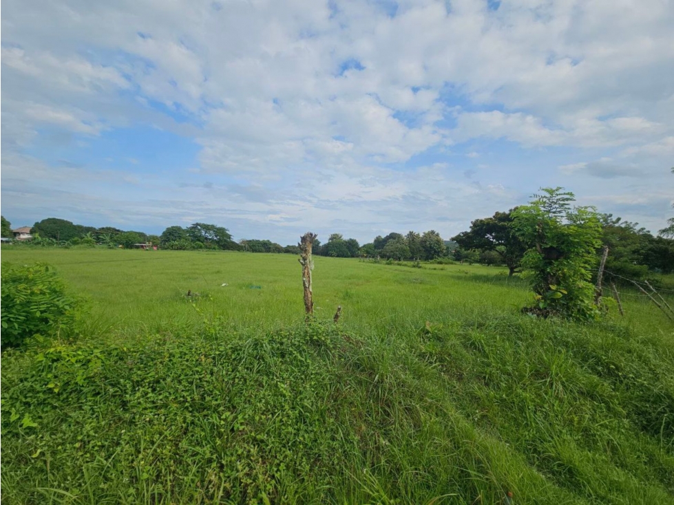 Se vende finca de 2.8 hectáreas en Llano Marin, Penonomé - 5