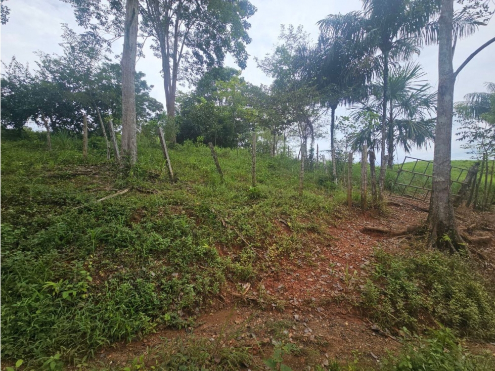 Se vende finca de 67 has con proyecto de cantera en Darién, Metetí - 6