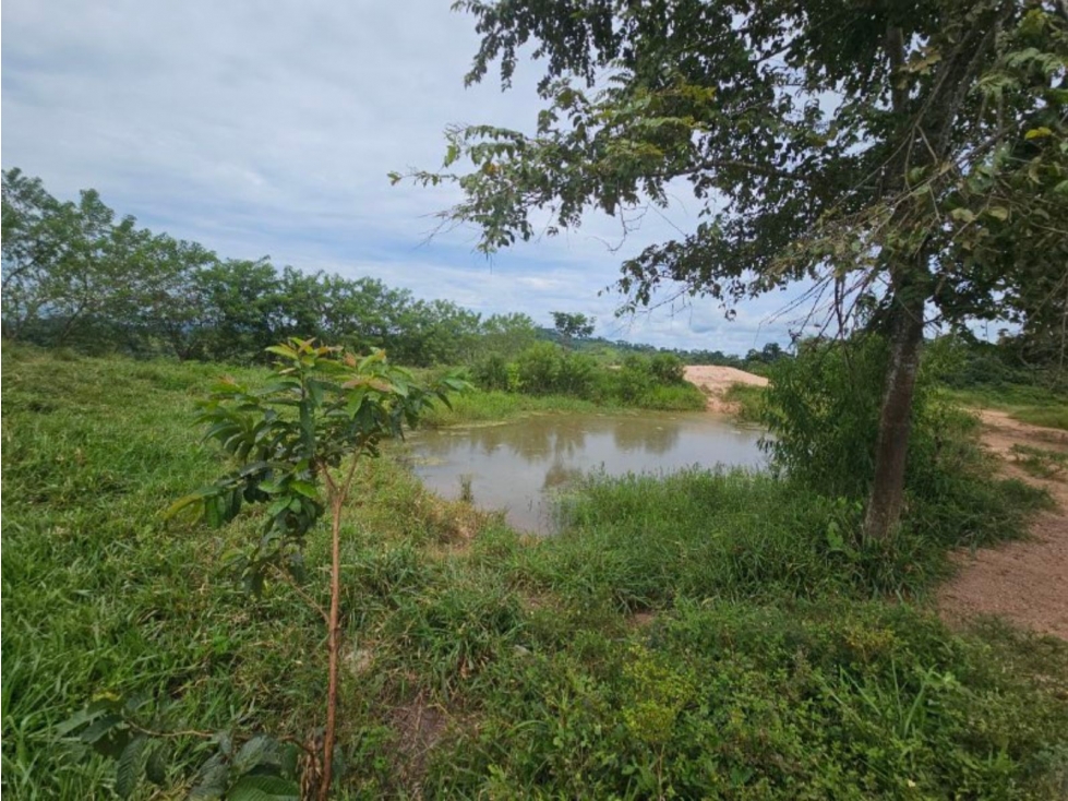 Se Vende Finca ganadera de 152 has en Darién - 5