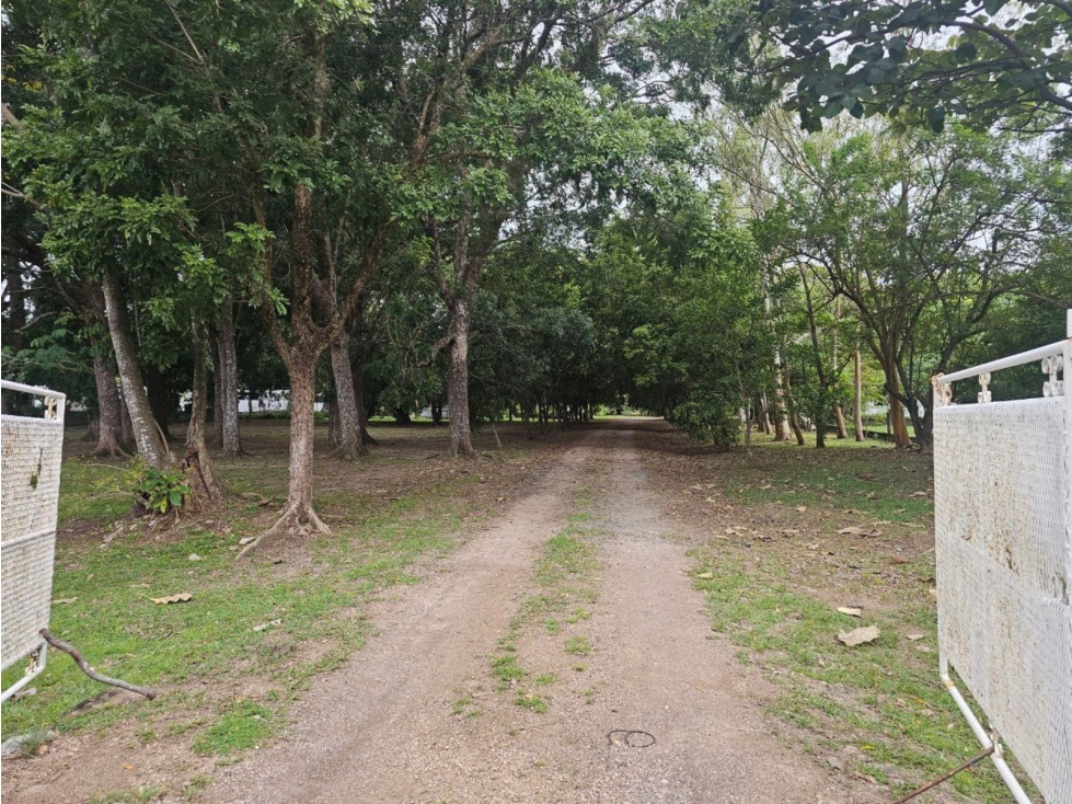 Se vende finca comercial en Penonomé de 1.4 has. - 5