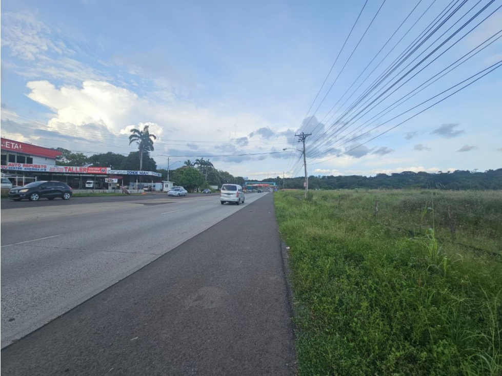 Se venden lotes comerciales en Interamericana, La Chorrera - 5