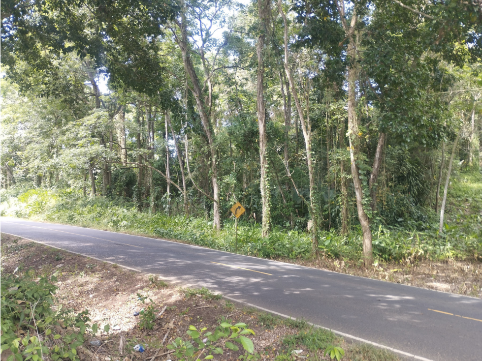 Se Vende Finca Comercial de 10 HAS El Espino- Vía Santa Rita (DR) - 5