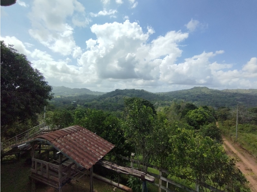 Se Vende Finca de 5.5 has La Florida - Capira (DR) - 5