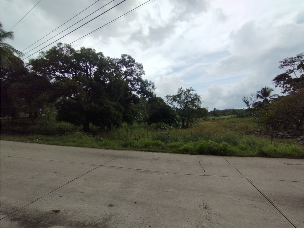 Se Vende finca de 1.2 has en Arraiján-Panamá Oeste (DR) — foto 2