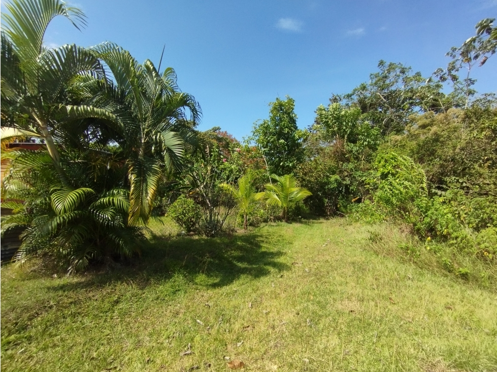 Se Vende Terreno de 4.700m2 en Potrero Grande-La Chorrera (DR) - 1