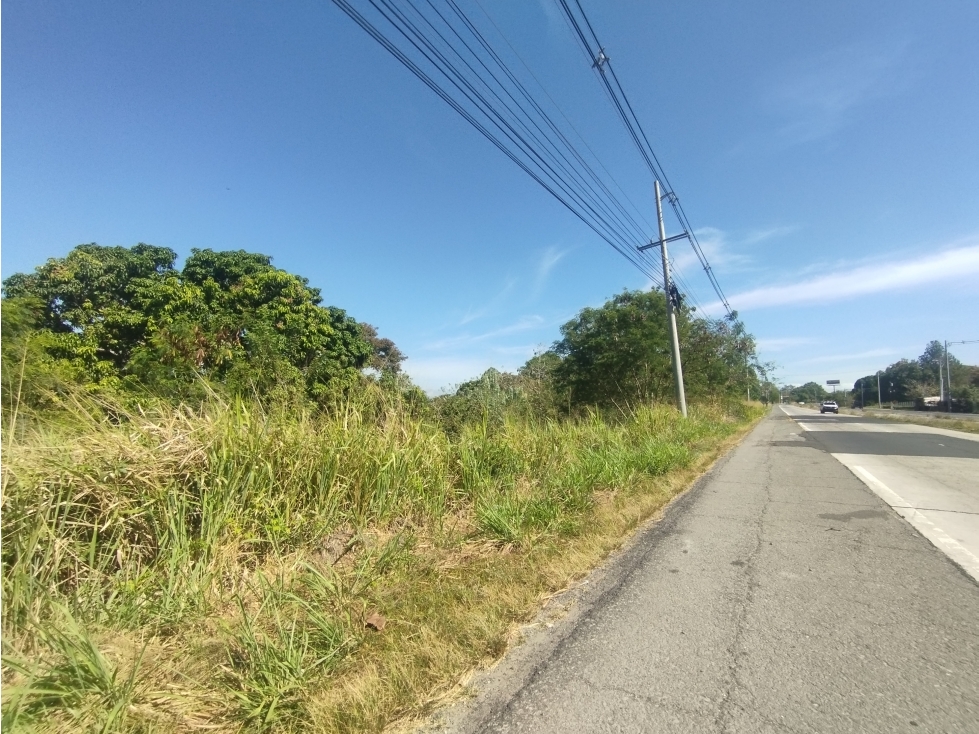 Se Vende Terreno Comercial en Interamericana Rio Hato-San Carlos (DR) - 6