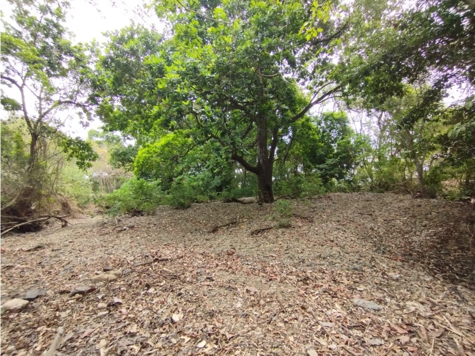 Se Vende Finca de 15 HAS con 250mt2 en Bejuco-Panamá Oeste (DR)