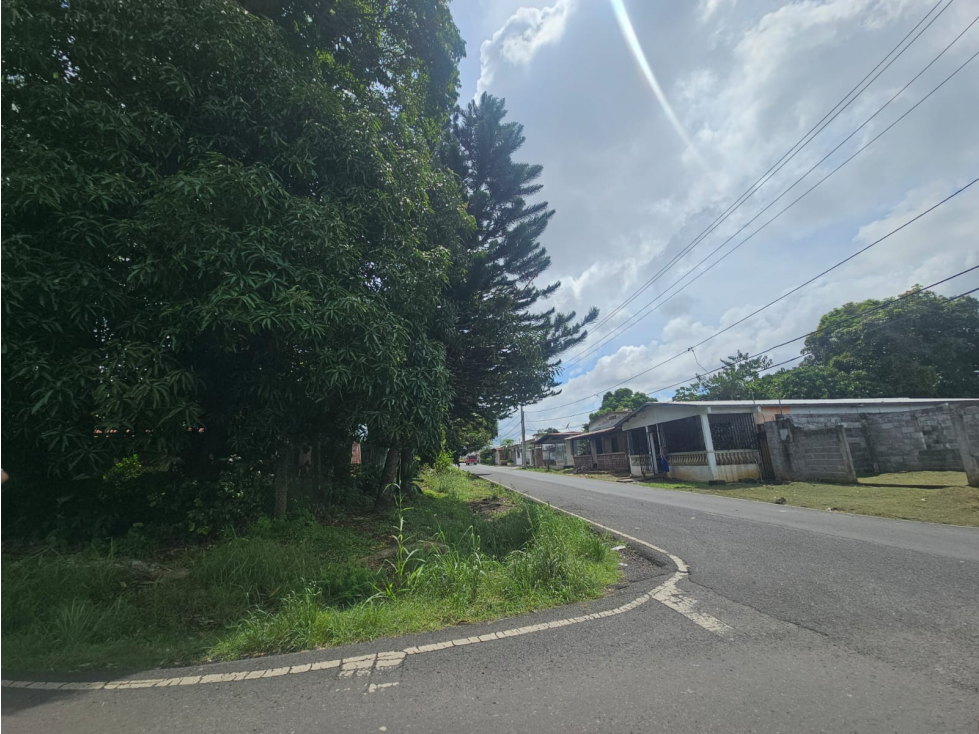 Terreno Comercial en venta en El Centro de La Chorrera (DR)
