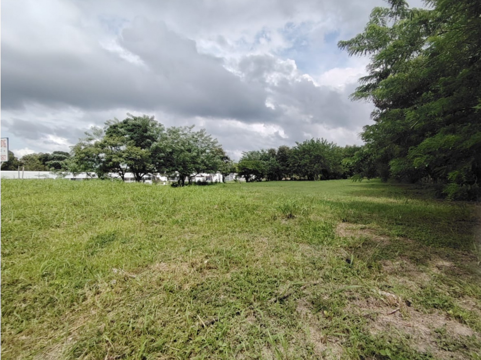 Lote Comercial en venta en Santa Clara-Coclé (DR) - 6