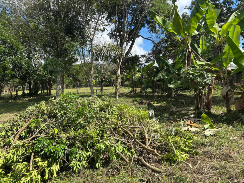 Venta de terreno comercial de 7,637m2 en Bugaba, Chiriquí (DR) - 5