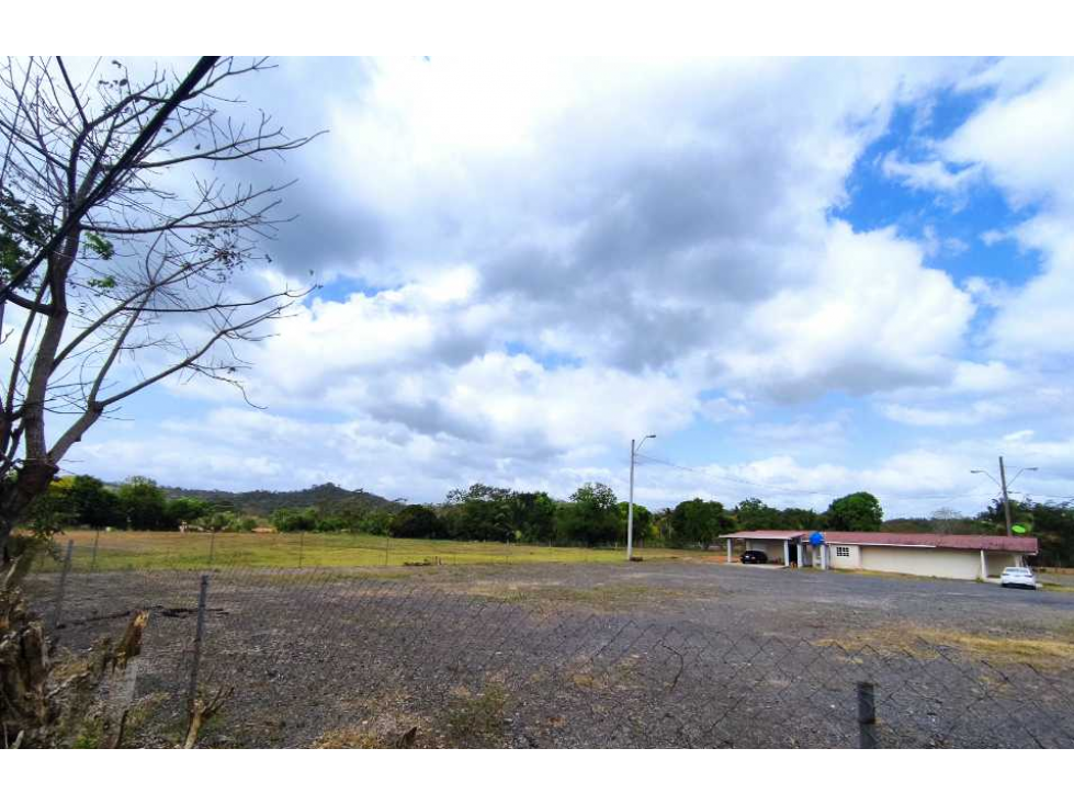 Se Vende Finca Comercial de 16560mt2 Espino La Chorrera - 5