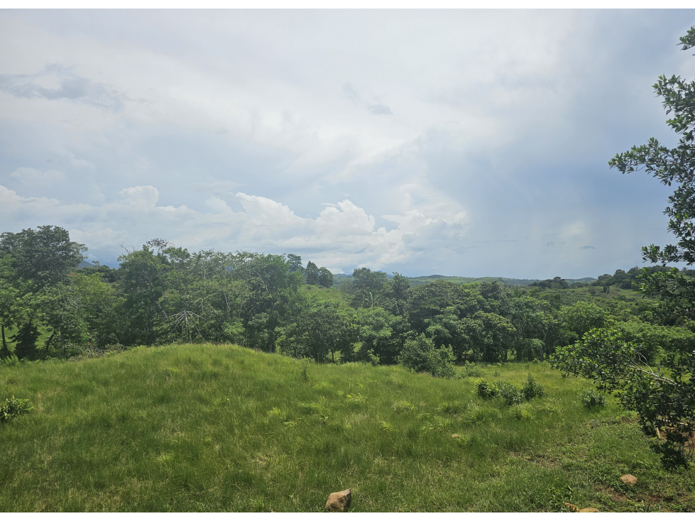 Se Venden Lotes desde 1000mt2 Panamá Oeste - 5