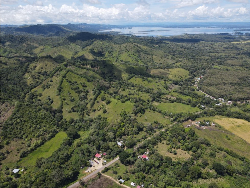 Se Vende Finca de 253 Ha. en Chepo (H) - 1