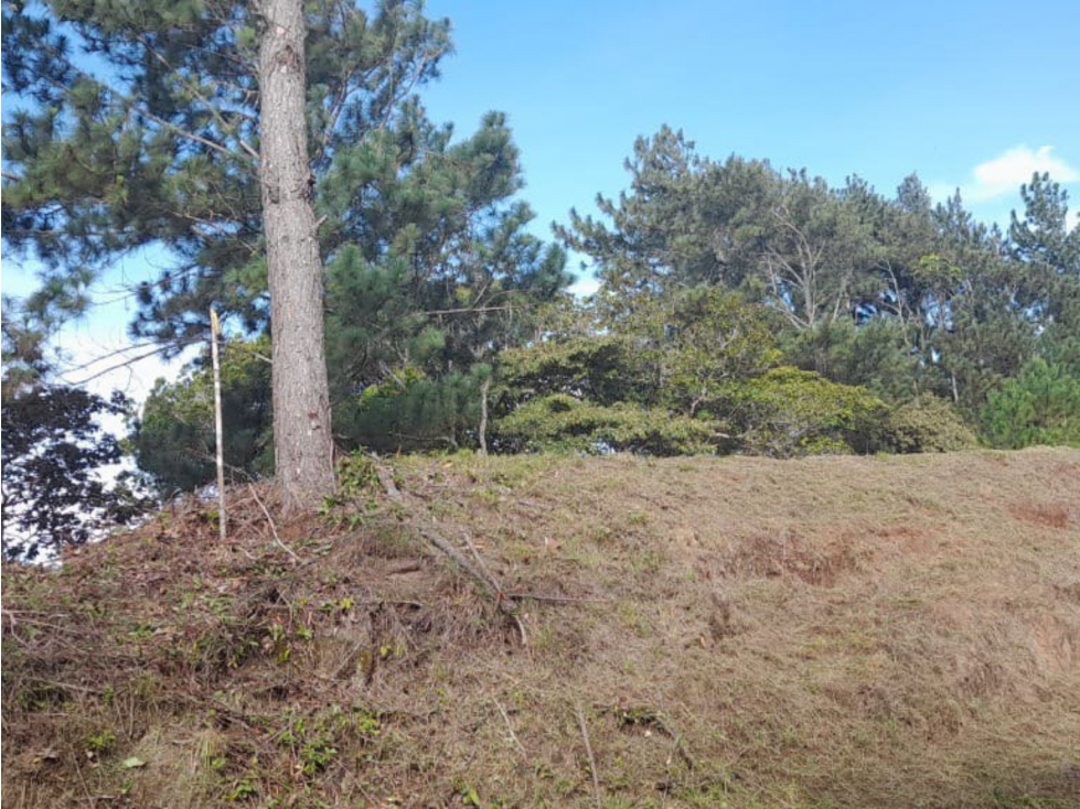 Venta de lote en Altos del María (AA) - 3