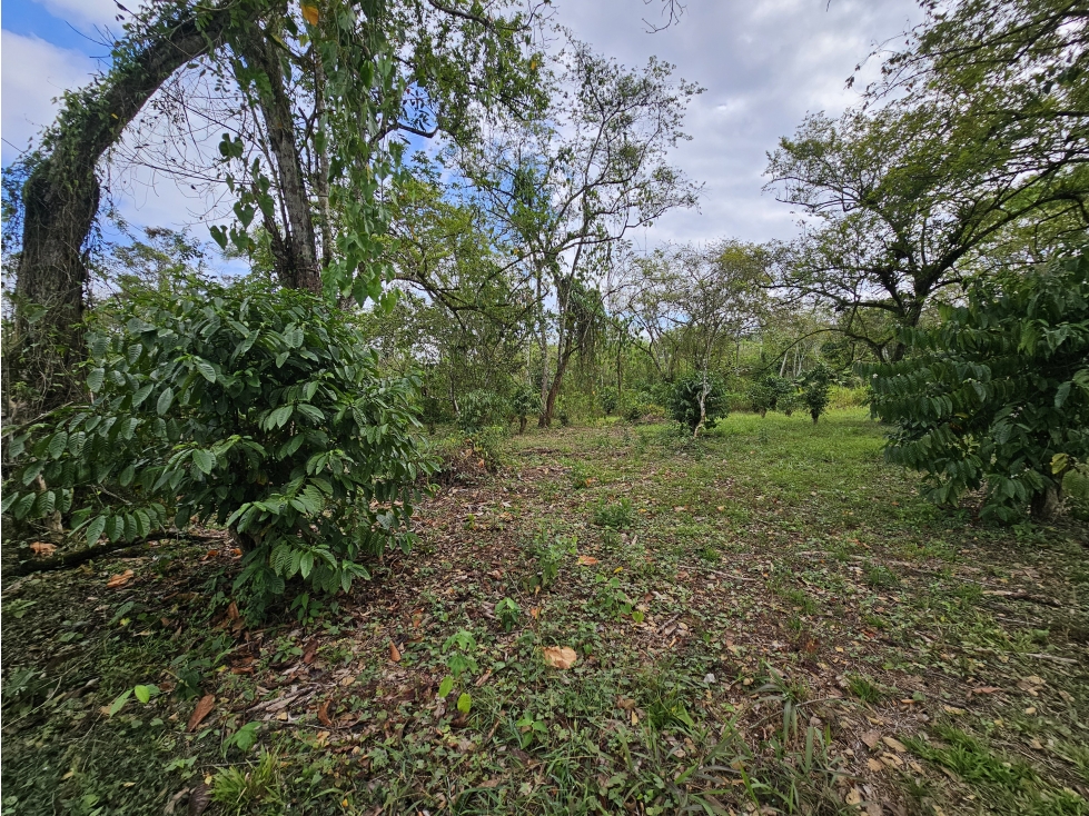 Se Vende Finca en Capira 5.5 Hectáreas - 6