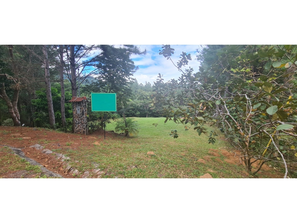 Se Vende Terreno de 1328 mt2 en Altos de María - 5