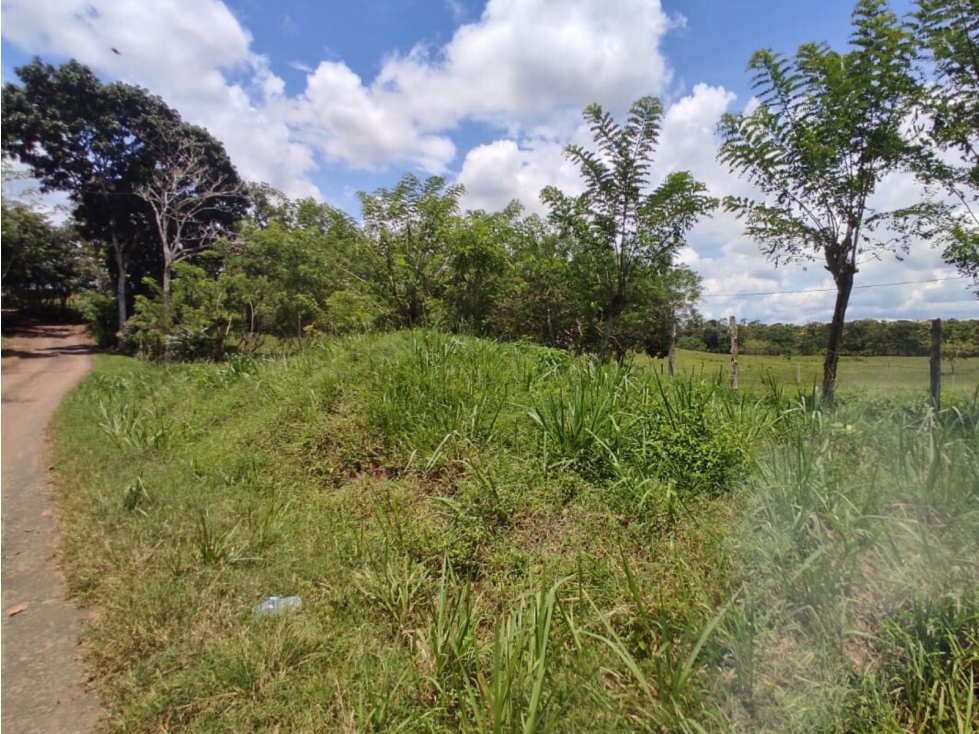 Se vende finca de 6.5 hectáreas en La Colorada, Chorrera - 6
