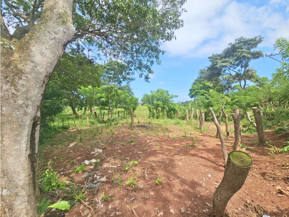 Se Vende Finca de 4.8 has comercial en La Chorrera, Puerto Caimito - 6