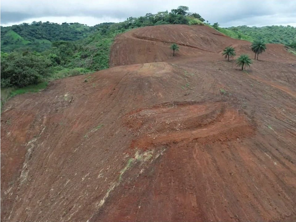 Se vende finca de 5 has con proyecto completo en Pedasí - 6