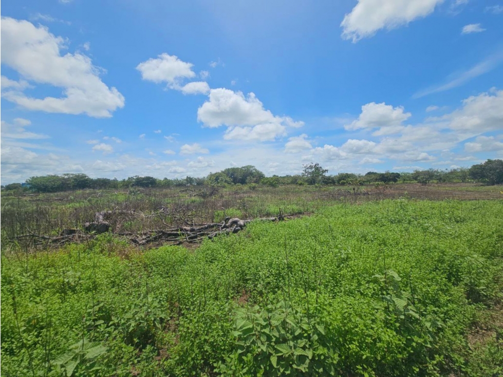 Se vende finca de 4.22 HAS en Aguadulce Interamericana - 6