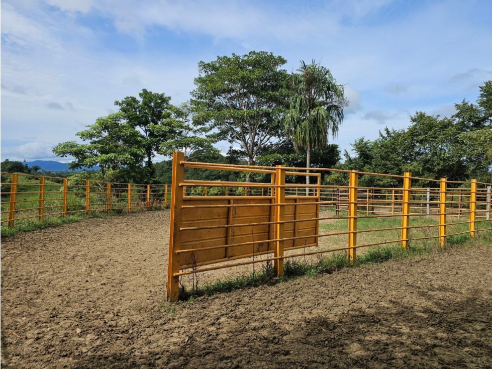 Se vende finca de 126 hectáreas en Metetí, Darién - 6