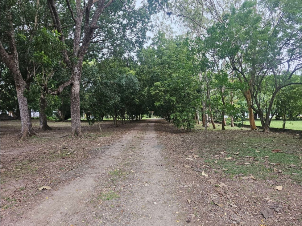 Se vende finca comercial en Penonomé de 1.4 has. - 6