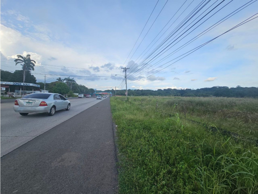 Se venden lotes comerciales en Interamericana, La Chorrera - 6