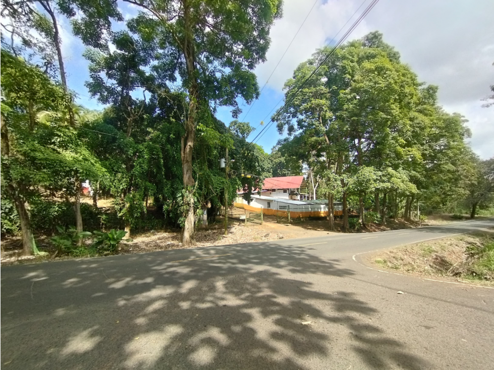 Se Vende Finca Comercial de 10 HAS El Espino- Vía Santa Rita (DR) - 6