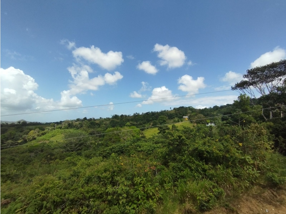Se Vende Finca de 5.5 has La Florida - Capira (DR) - 6