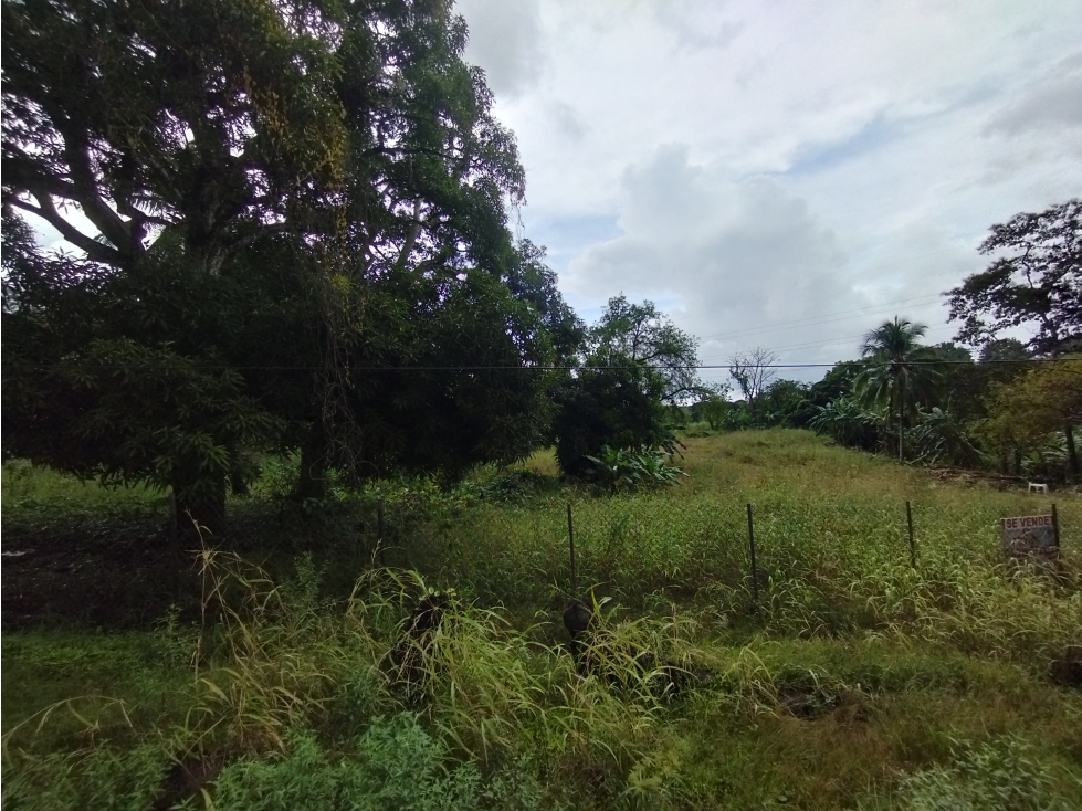 Se Vende finca de 1.2 has en Arraiján-Panamá Oeste (DR) — foto 3