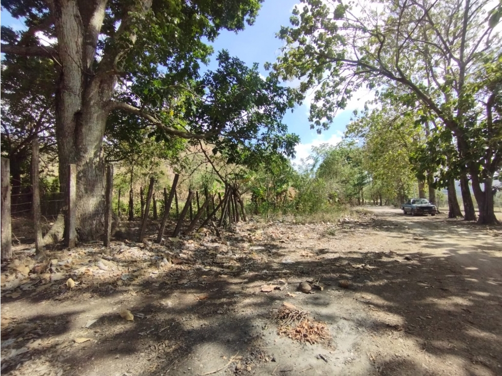 Se Vende Finca de 16 Has en Monte Oscuro La Chorrera (DR) - 4