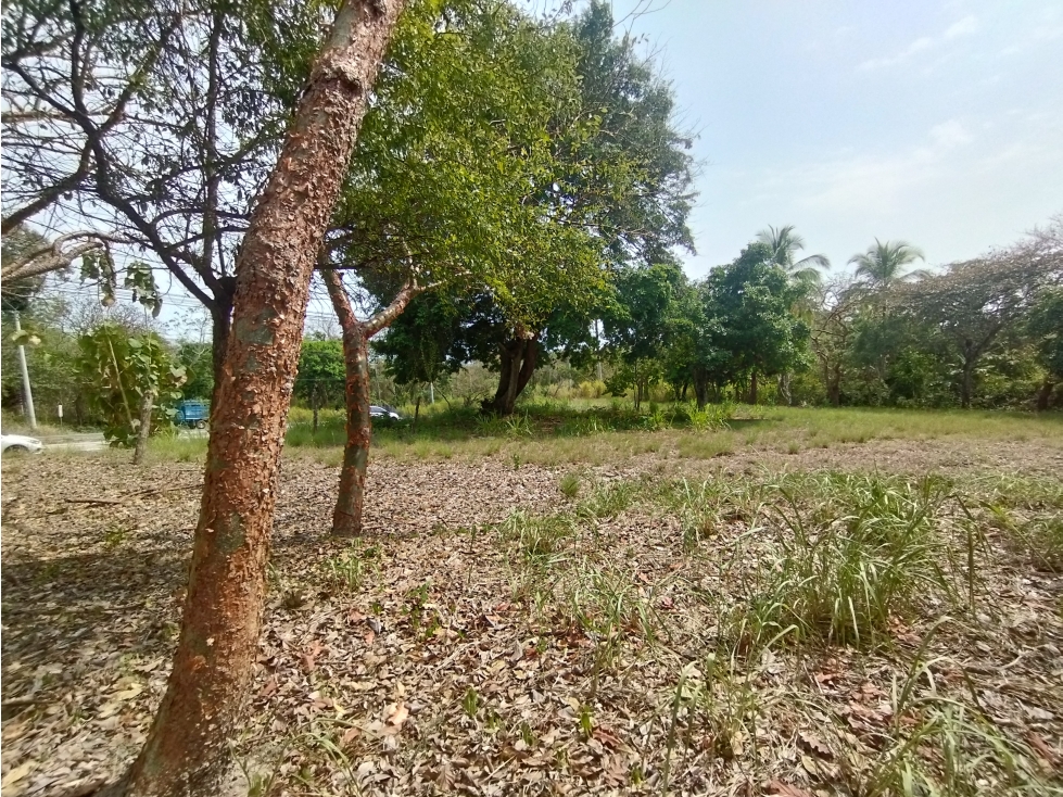 Se Vende Terreno Comercial en Interamericana Rio Hato-San Carlos (DR) - 2