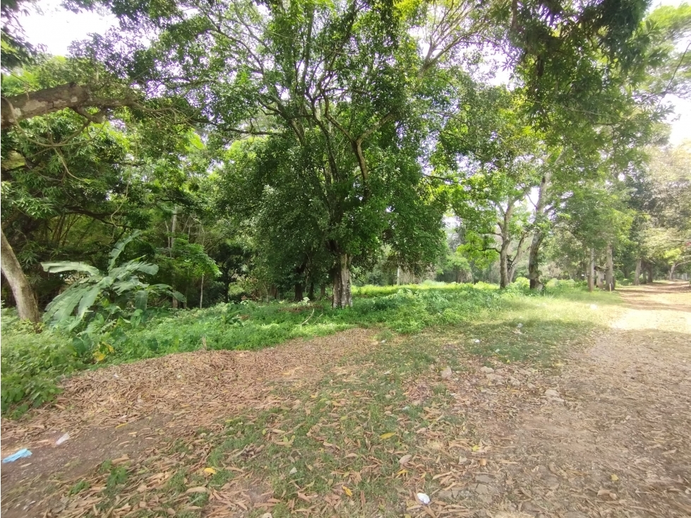 Se Vende Terreno en el Espino-La Chorrera (DR) - 6