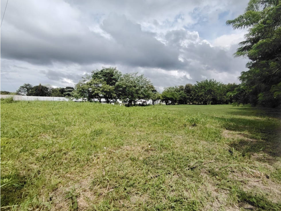 Lote Comercial en venta en Santa Clara-Coclé (DR) - 4