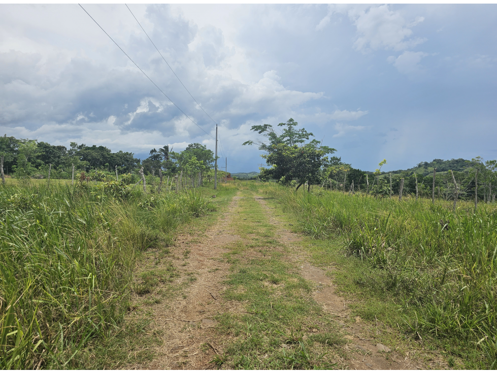 Se Venden Lotes desde 1000mt2 Panamá Oeste - 6
