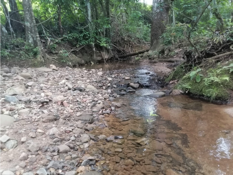 Terreno en venta 50 Has-Cañita de Chepo (BO) - 5