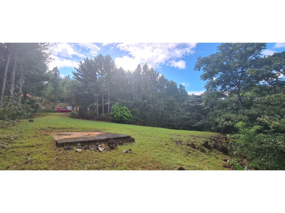 Se Vende Terreno de 1328 mt2 en Altos de María - 6