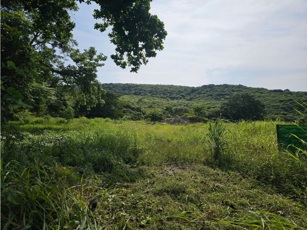 Se vende finca comercial de 5 HAS en Penonomé, Vía Ciruelito - 5