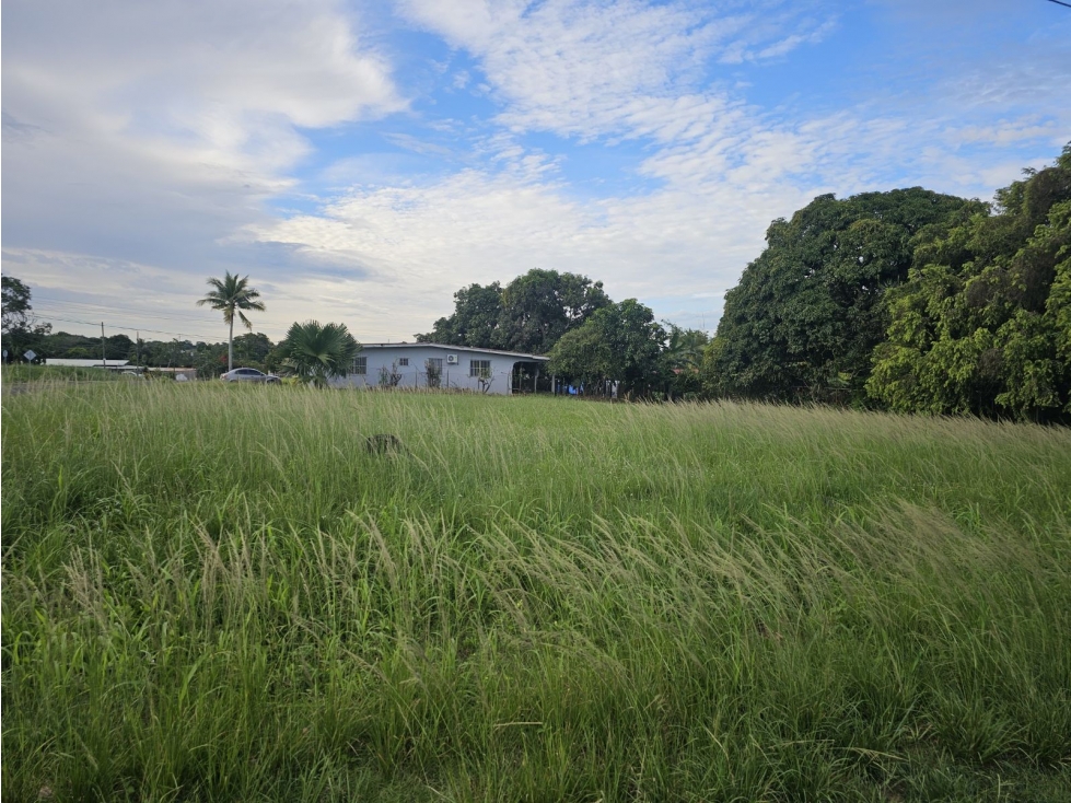 Se Vende Terreno en Panamá Oeste Titulado de 1251.25mt2 - 6