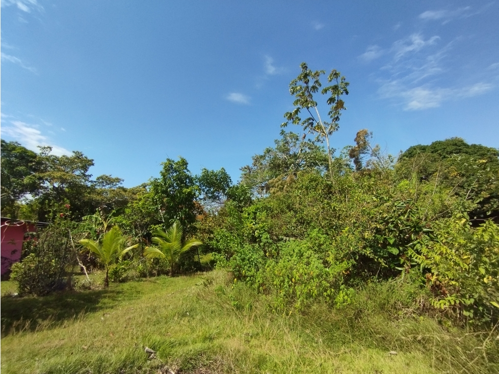 Se Vende Terreno de 4.700m2 en Potrero Grande-La Chorrera (DR) - 3