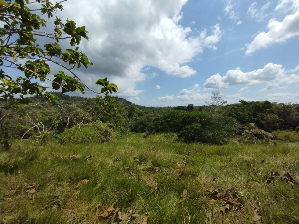 Se Vende Finca de 15 HAS el Lirio Arraijan (DR)