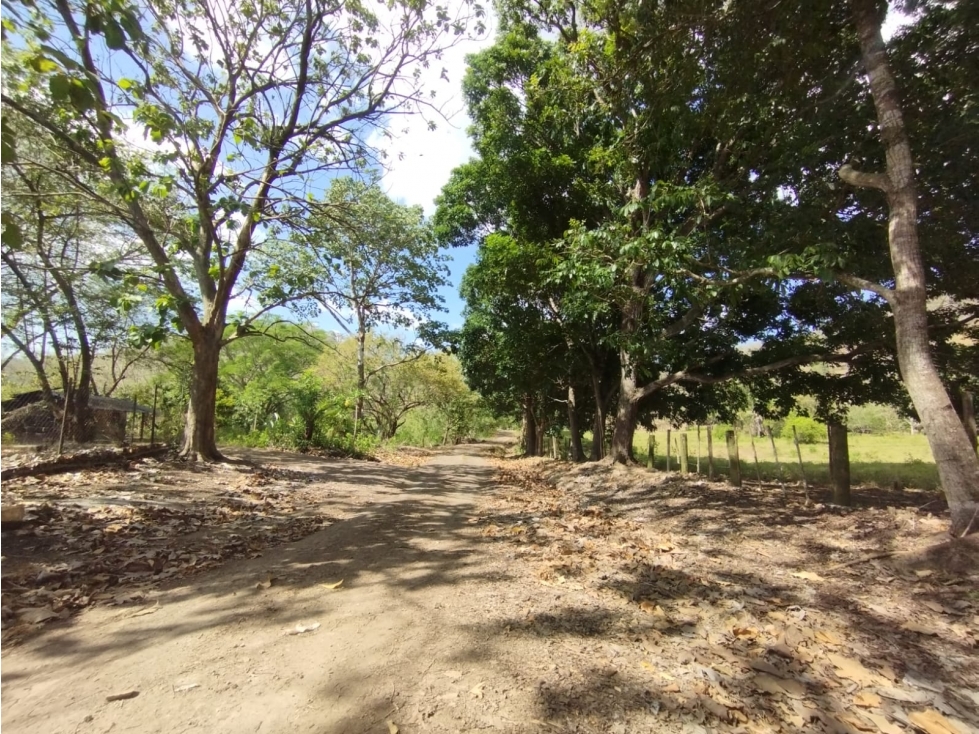Se Vende Finca de 16 Has en Monte Oscuro La Chorrera (DR) - 5