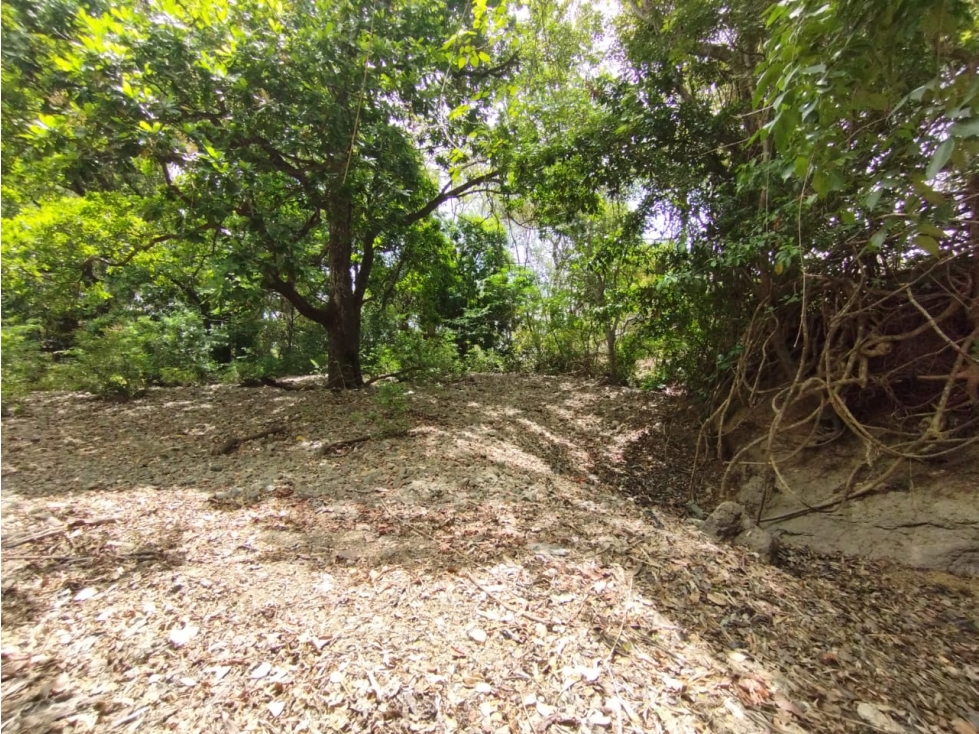 Se Vende Finca de 15 HAS con 250mt2 en Bejuco-Panamá Oeste (DR) — foto 6