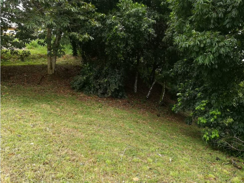 Terreno en venta de 2817 Mts2 Cerro Azul-Panamá (DR) - 6