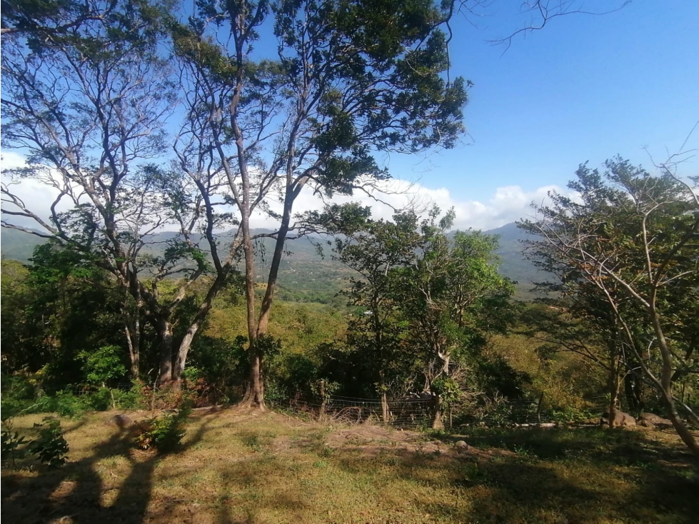 Se Vende Finca de 10 Has. en Sorá de Chame (H) - 6