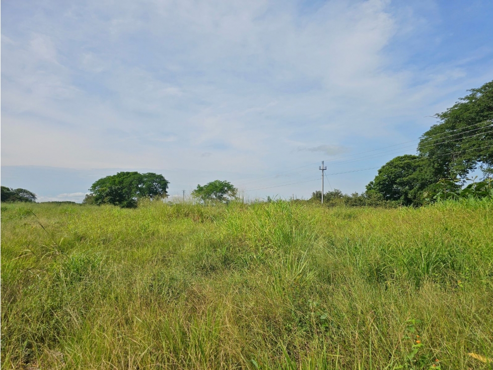 Se vende finca comercial de 5 HAS en Penonomé, Vía Ciruelito - 4